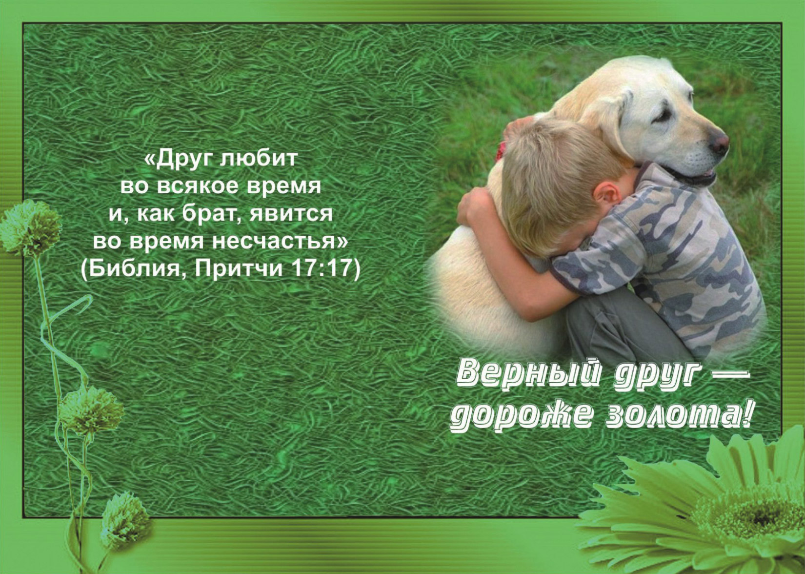 Мой любимый друг россия. Цитаты из Библии про дружбу. Стихи из Библии про дружбу. Стихи из Библии для детей. Красивые стихи о дружбе и друзьях.