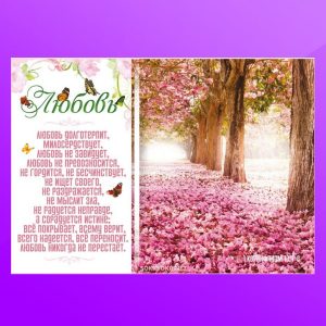 ОР 1703. Любовь долготерпит