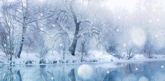 Снег летит и летит, засыпая дороги Снег летит