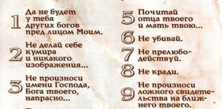 Заповедь «Не убивай» — убийства, о которых мы не задумываемся Заповедь Не убивай