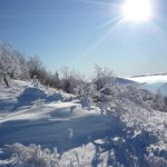 Поездка на север