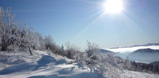 Поездка на север Поездка на север