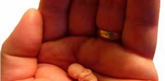 Правительство Испании планирует ужесточить закон об абортах Закон об абортах