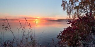 В холодную ночь В холодную ночь