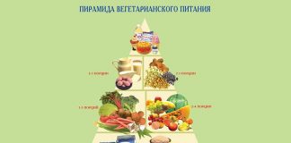 Правила питания Правила питания