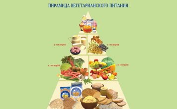 Правила питания Правила питания
