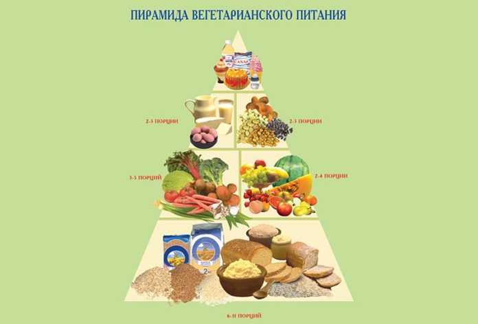 Правила питания