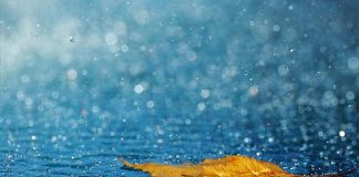 Чудеса вокруг нас Чудеса вокруг нас