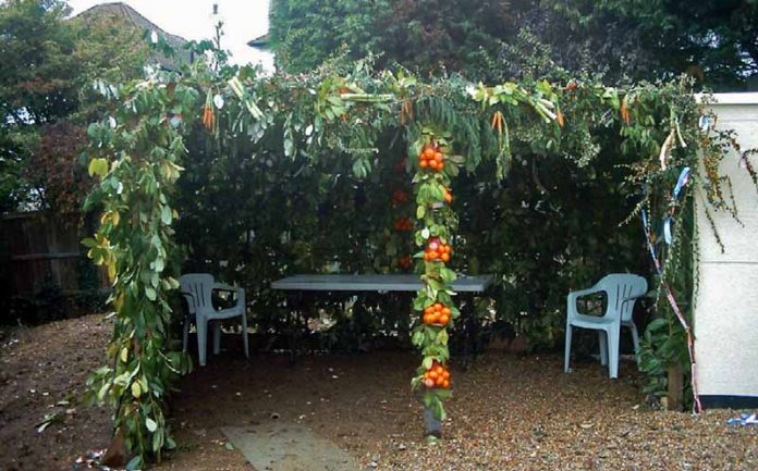 Современная куща