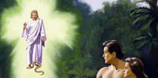Знания в борьбе за разум Знания в борьбе за разум