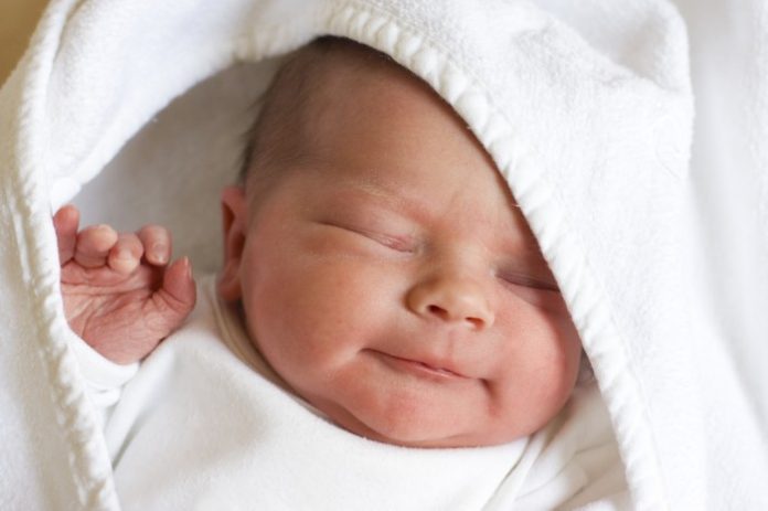 fotolia-7196546-subscription-xl-1