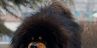 Не заигрывай с грехом