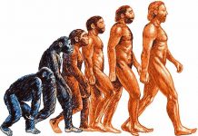 В чём ошиблась теория эволюции? В чём ошиблась теория эволюции?