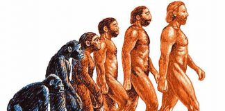 В чём ошиблась теория эволюции? В чём ошиблась теория эволюции?