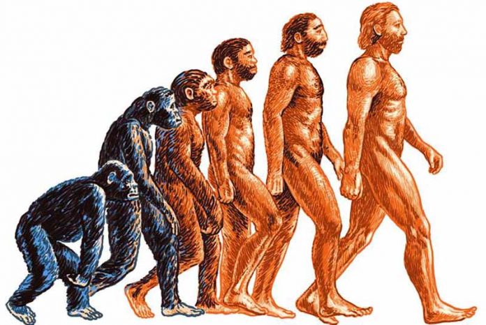 В чём ошиблась теория эволюции? В чём ошиблась теория эволюции?