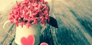 Учитесь выражать любовь