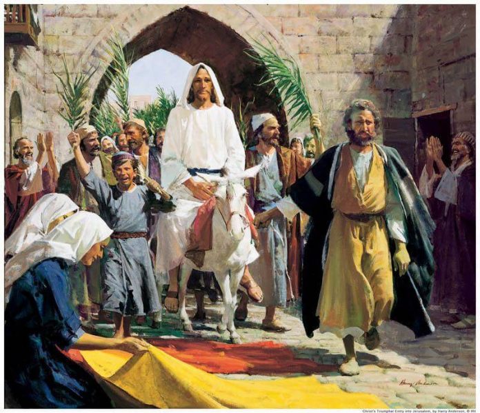 Palm-Sunday