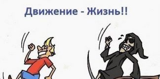 Движение — жизнь