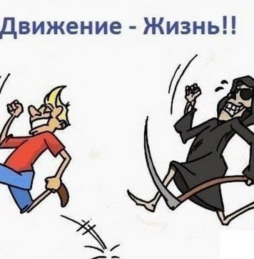 Движение — жизнь
