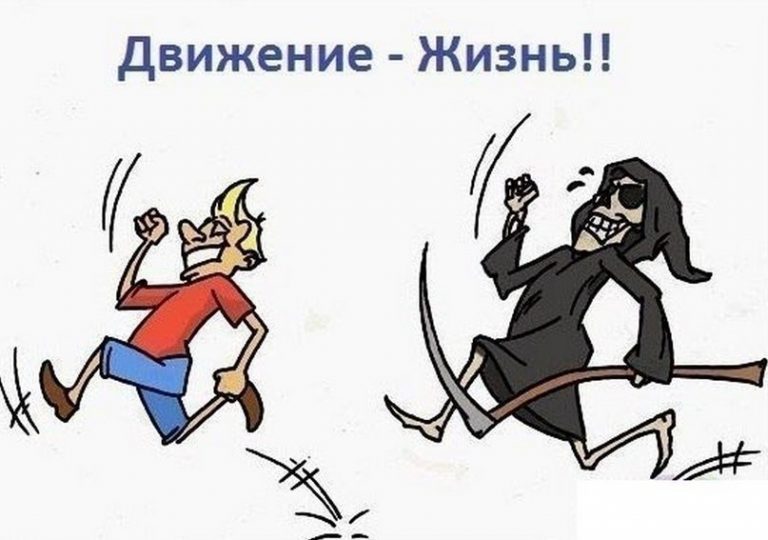 Движение — жизнь