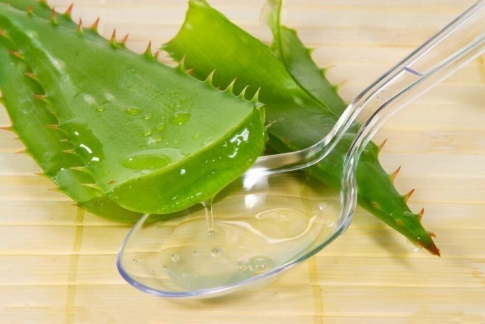 content_naturalnye_stimulyatory_obrazovaniya_korney2__econet_ru