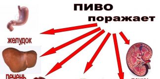 Человечество могло бы достигнуть невероятных успехов, если бы оно было более трезвым
