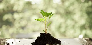 Добрая почва Добрая почва