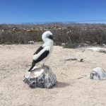 adventist-galapagos-aug30-2