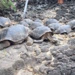 adventist-galapagos-aug30-2a