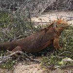 adventist-galapagos-aug30-3