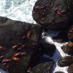 adventist-galapagos-aug30-7