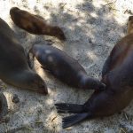 adventist-galapagos-aug30-8