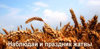 Жатва – праздник благодарности Богу за Его дары Жатва – праздник благодарности Богу за Его дары
