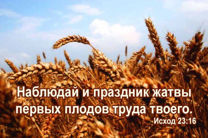 Жатва – праздник благодарности Богу за Его дары
