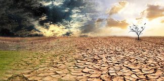Видите ли Вы в современном мире знамения, говорящие о скором пришествии Христа, и какие? Видите ли Вы в современном мире знамения, говорящие о скором пришествии Христа, и какие?