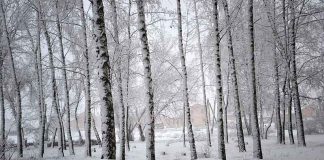 Россия, Матушка… Россия, Матушка...
