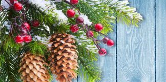 С Новым годом, дорогие читатели! С новым 2017 годом!