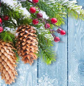 С Новым годом, дорогие читатели! С новым 2017 годом!