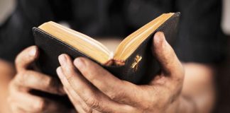 Ты подарил мне Книгу жизни (Библия) Ты подарил мне Книгу жизни