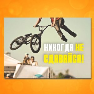 ОМ-1712. Открытка "Никогда не сдавайся!"