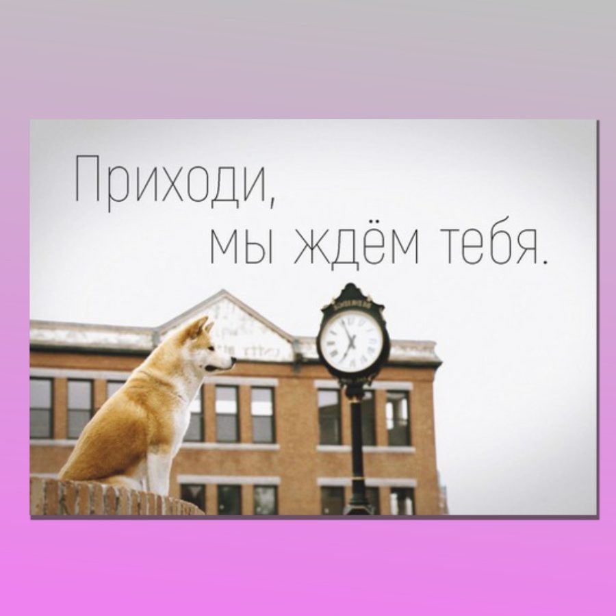 Официальный сайт санатория «Киев» в Алуште