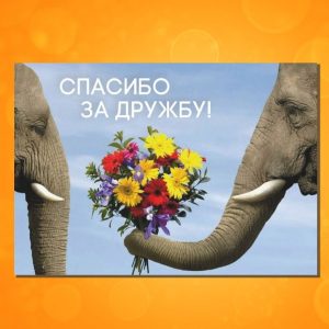 ОМ-1715. Открытка "Спасибо за дружбу!"