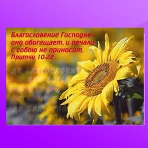 ОР-1201. Благословение Господне оно обогащает и печали...