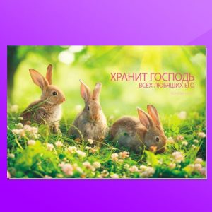 ОР-1406. Хранит Господь...