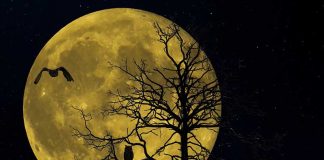 История бывшего колдуна История бывшего колдуна