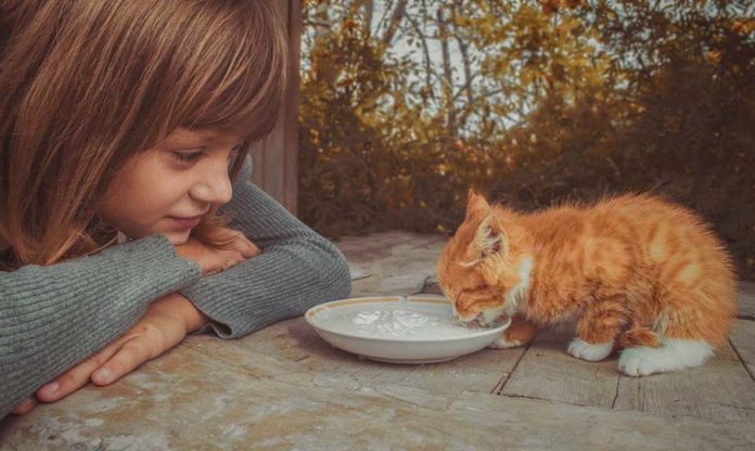 Что такое доброта? Что такое доброта?