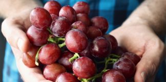 Вино: полезно ли для сердца?