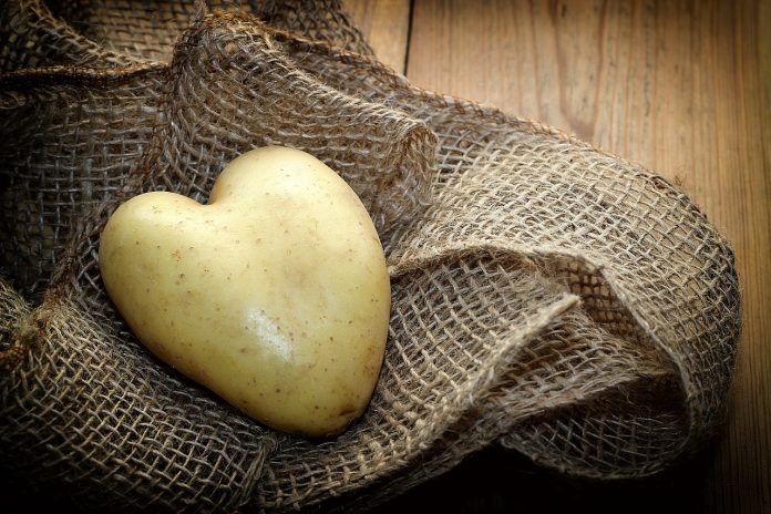potato-3548557_1280