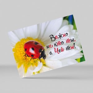 ОР-1905 Важно не кто ты, а Чей ты!