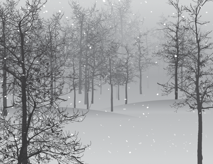 snow-1848346_1280